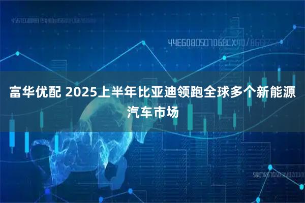 富华优配 2025上半年比亚迪领跑全球多个新能源汽车市场