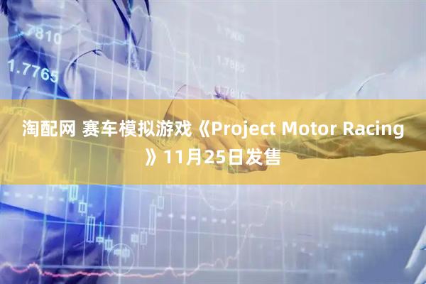 淘配网 赛车模拟游戏《Project Motor Racing》11月25日发售